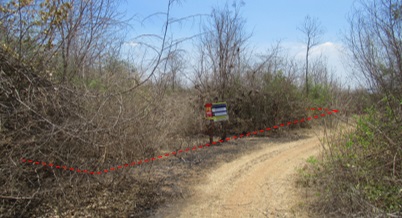 Empty land, Sakthong Property Farm Project, Lamphun