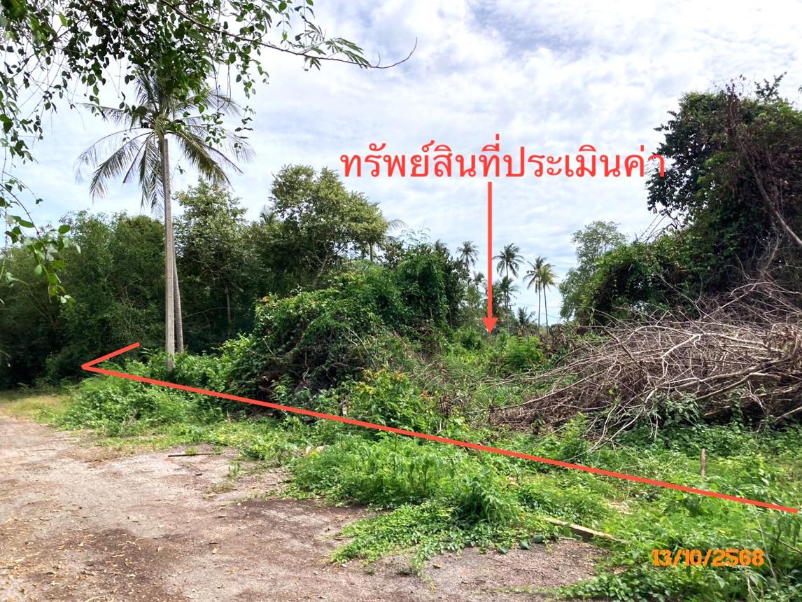 Vacant Land, Don Sak, Surat Thani