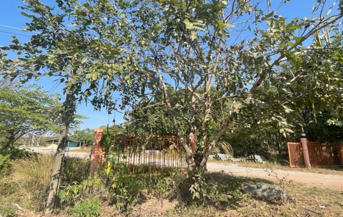Empty land for sale in Pho Chai, Roi Et.