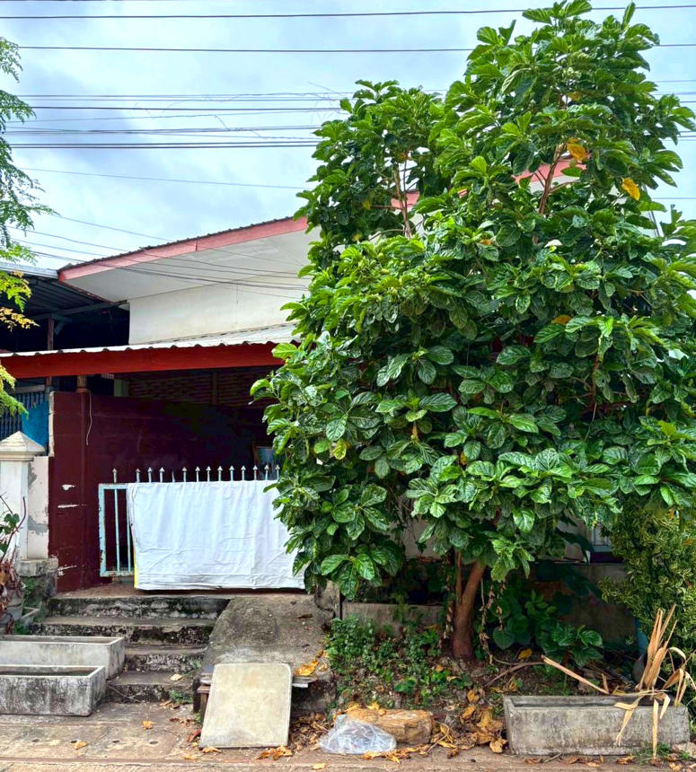 Townhouse outside Petchabun Project, Vichian Buri, Petchabun