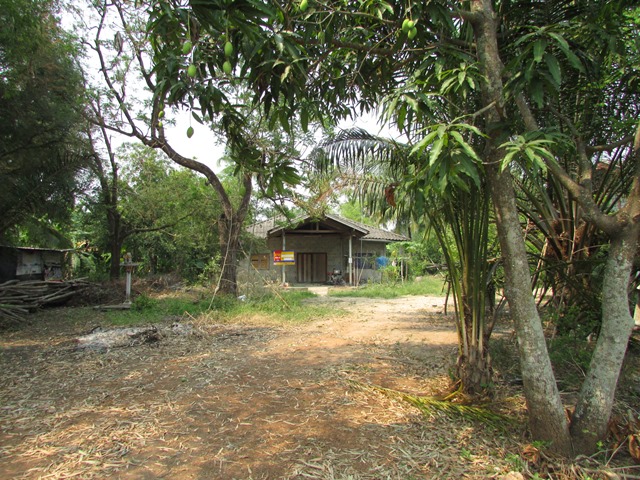 บ้านเดี่ยว บ่อถ้ำ กำแพงเพชร ที่ดิน 4 ไร่ ใกล้คลอง และมีแม่น้ำปิงไหลผ่าน