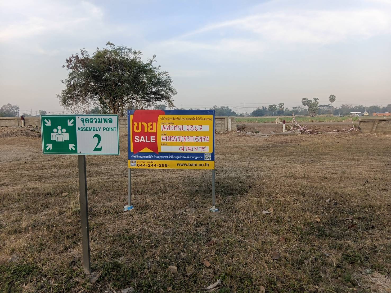 Empty land, Ing Thar Project, Nakhon Ratchasima