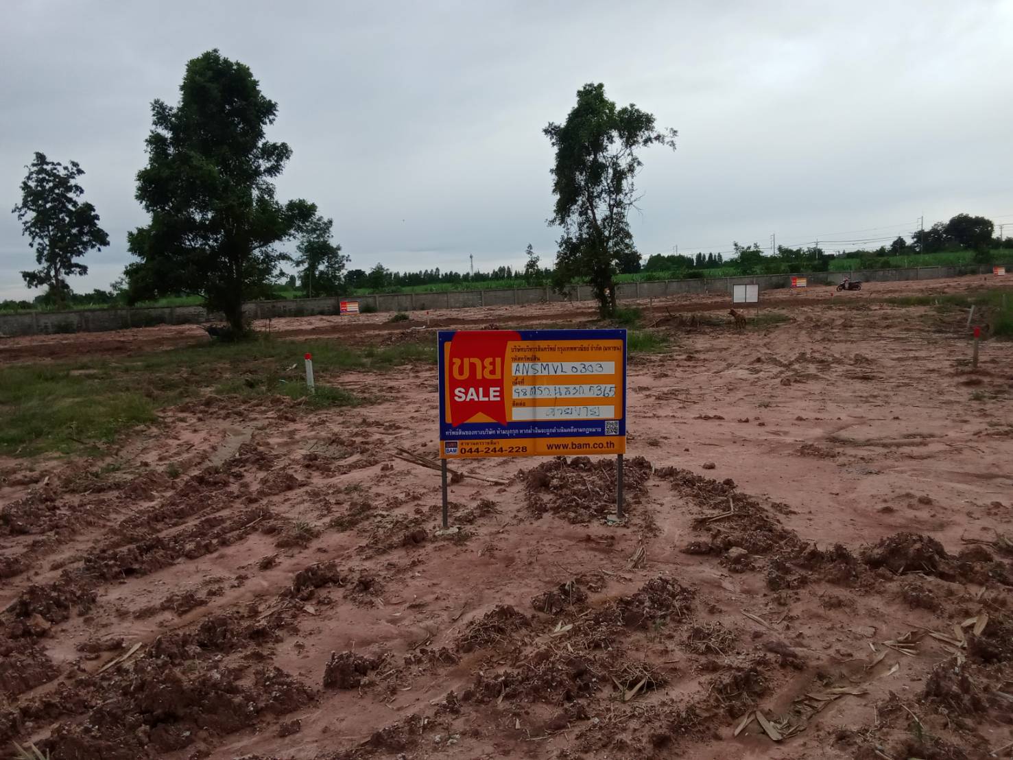 Empty land, Ing Thar Project, Nakhon Ratchasima