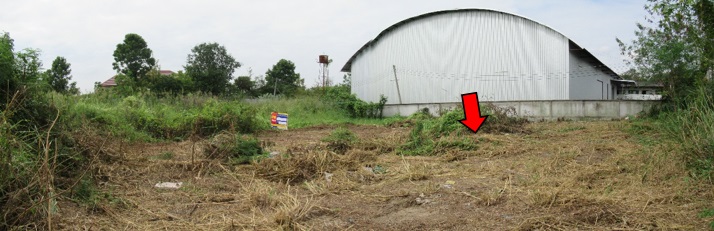 ที่ดินเปล่า โครงการศรีเชียงใหม่ เชียงใหม่