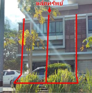 อาคารพาณิชย์ โนนสูง จังหวัดนครราชสีมา