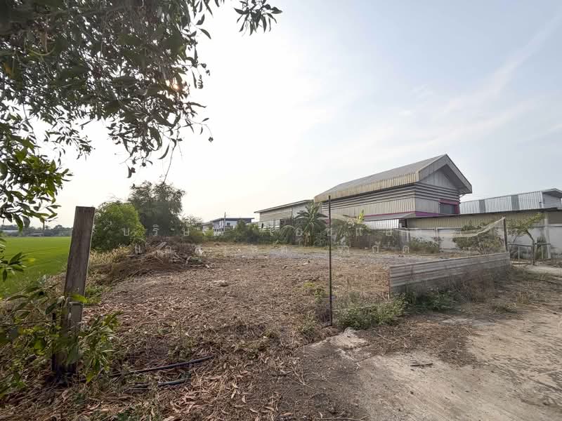 Vacant land, 126 square wah, Sai Noi, Nonthaburi., Nonthaburi