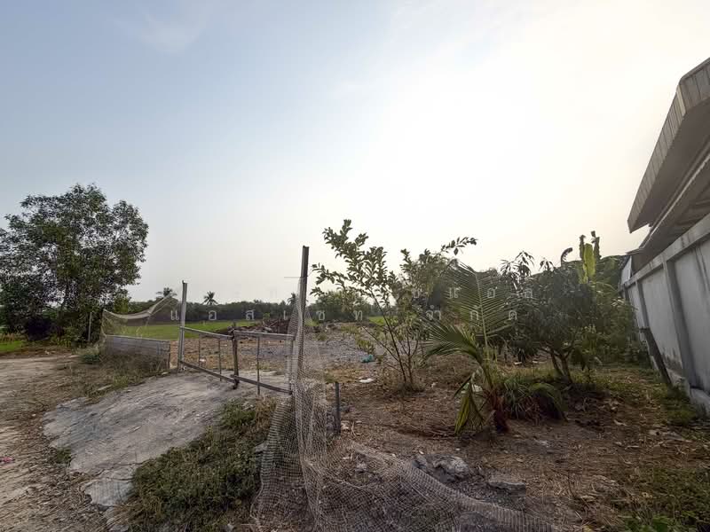 Vacant land, 126 square wah, Sai Noi, Nonthaburi., Nonthaburi