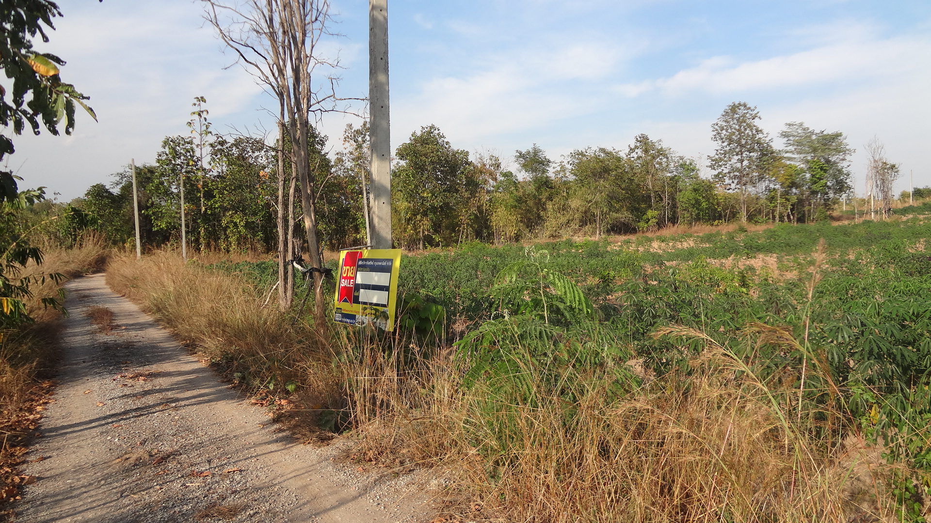 Empty land in the project of Pak Chai Tai, Lamphun