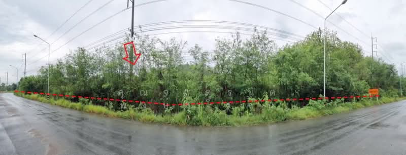 สวนสันติวนา ตำบลทรายขาว อำเภอสอยดาว จังหวัดจันทบุรี, Chanthaburi