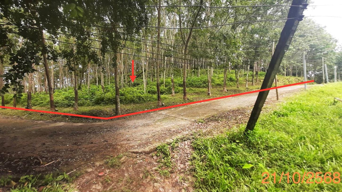 Vacant Land for Sale in Thalang, Phuket
* พื้นที่ 3-4 ไร่
* สภาพดินปนทราย
* ที่ตั้งใกล้ชายหาดและร้านค้า
* มีไฟฟ้าและน้ำประปา
* สามารถใช้สำหรับอาคารพาณิชย์หรือที่อยู่อาศัย