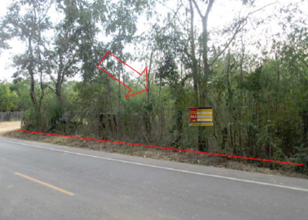 Land for Sale in Chaiyaphum