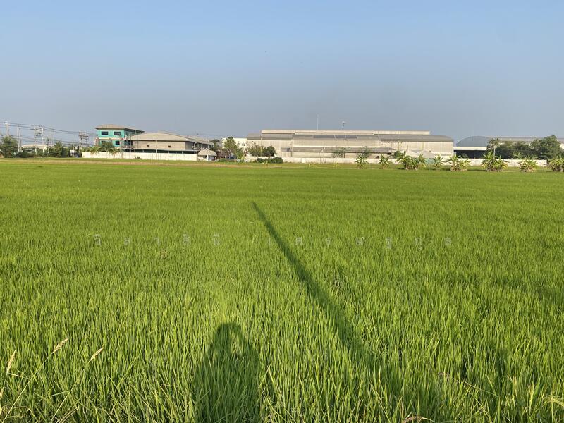 Land for sale 34 rai at Bangna km.23, purple area., Samut Prakan