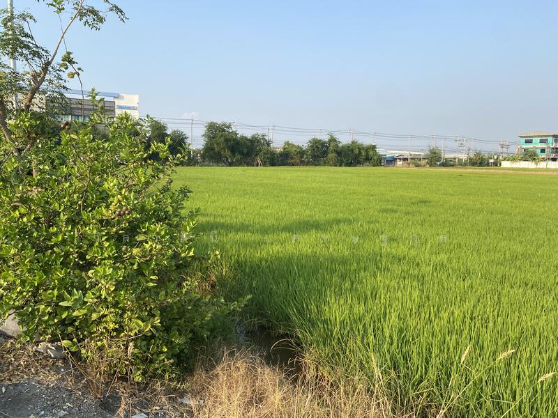 Land for sale 34 rai at Bangna km.23, purple area., Samut Prakan