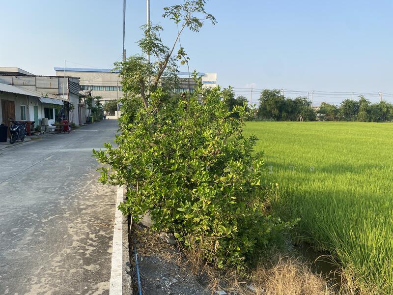 Land for sale 34 rai at Bangna km.23, purple area., Samut Prakan