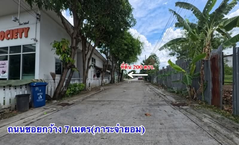 ที่ดิน ถ.เกษตร นวมินทร์ ซ.สุคนธสวัสดิ์ 19 แขวงลาดพร้าว เขตลาดพร้าว จ.กรุงเทพมหานคร 10230, Bangkok