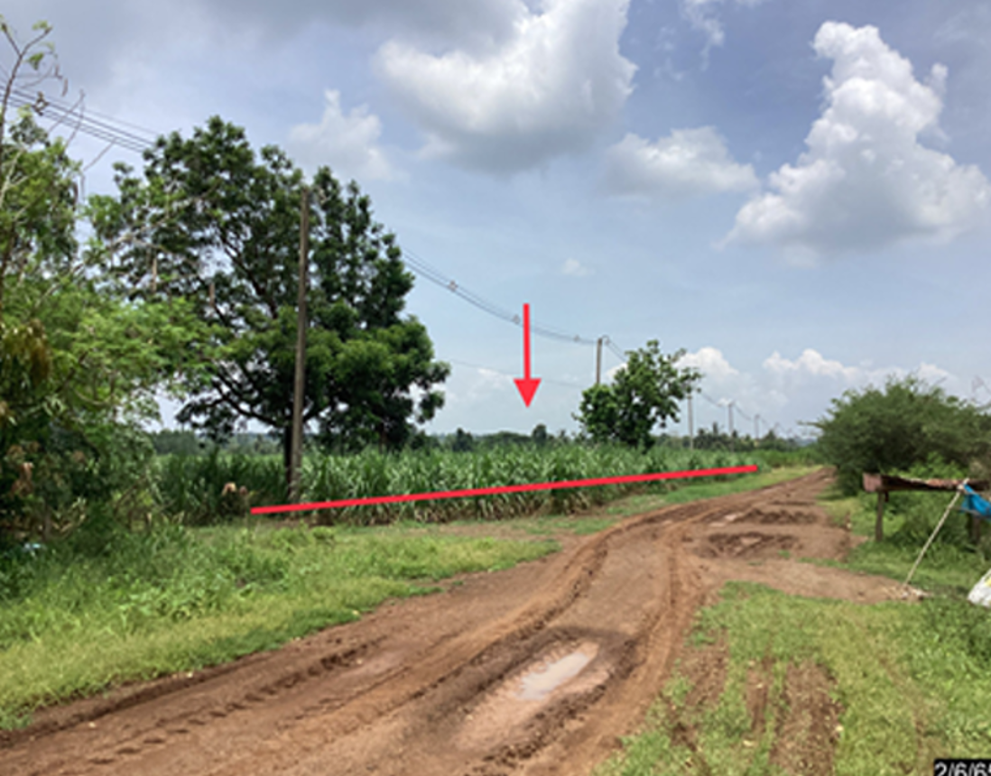 Vacant Land in Chokchai, Nakhon Ratchasima