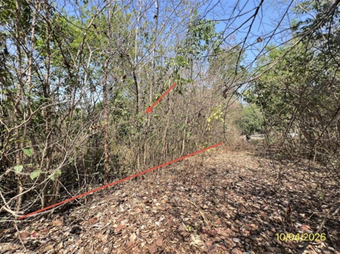 ที่ดินว่างเปล่า ภูพนา รีสอร์ท จอมบึง ราชบุรี