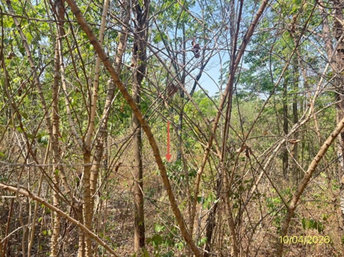 ที่ดินว่างเปล่า ภูพนา รีสอร์ท จอมบึง ราชบุรี