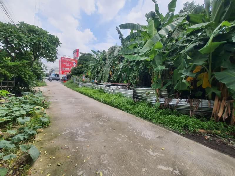 ขายที่ดิน สายไหม ลำลูกกา สุขาภิบาล5 กรุงเทพ, Bangkok