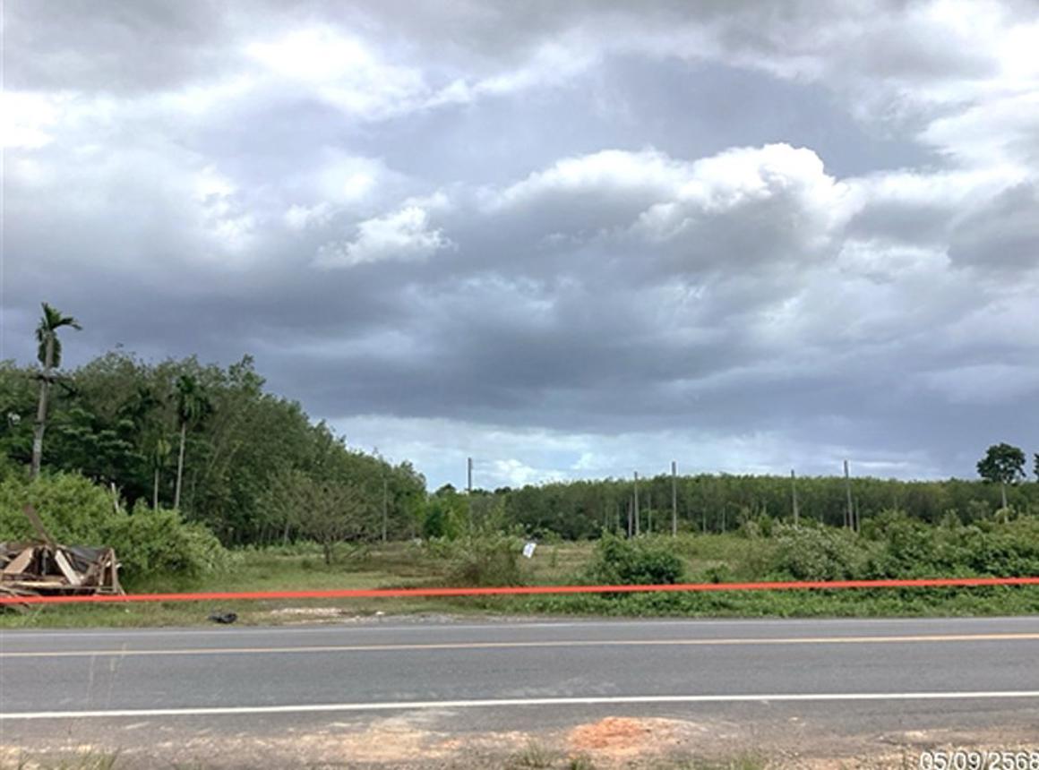 Vacant land for sale in Kanchanadit, Phatthalung Province.