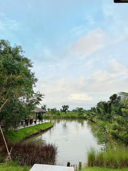 Land for sale, 6 rai, filled in, Tha Khai, Chachoengsao, Chachoengsao