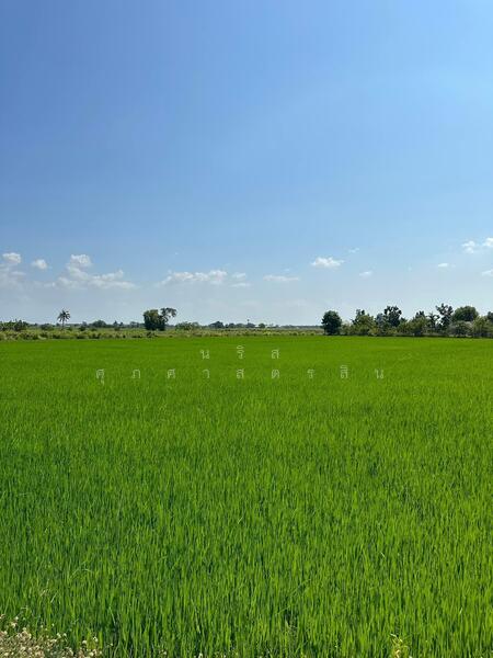 Land for sale, 6 rai, filled in, Tha Khai, Chachoengsao, Chachoengsao