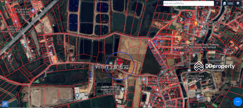 ที่ดินหนองดินแดง, Nakhon Pathom