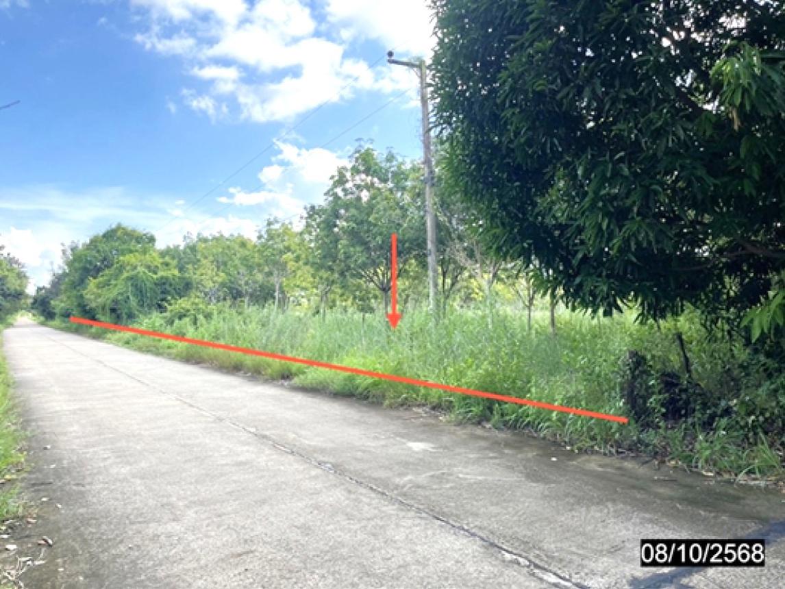 Empty land for sale in Selaphum, Roi Et.