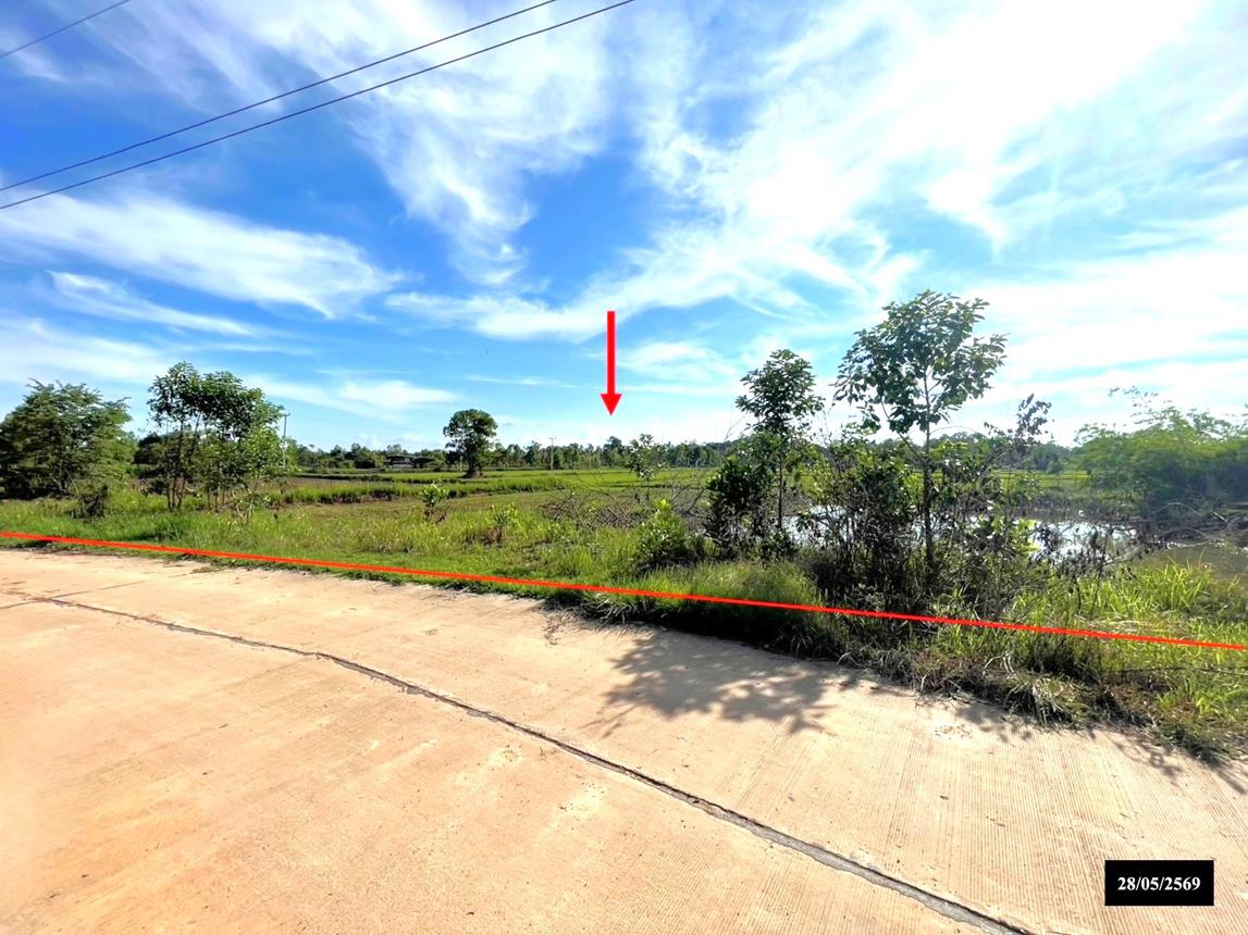 Vacant Land, Ranot City, Nakhon Phanom Province
