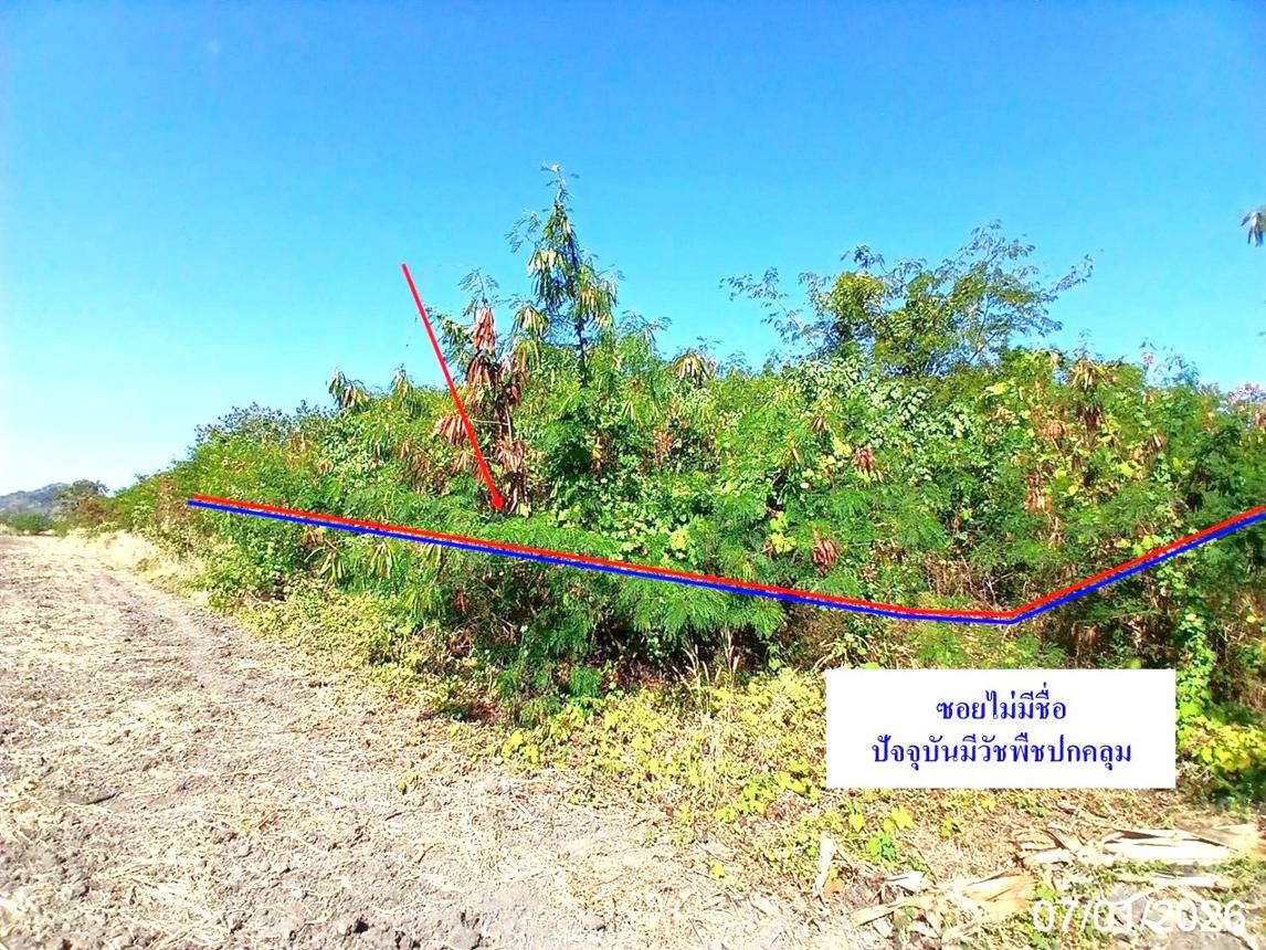 ที่ดินว่างเปล่า แก่งคอย สระบุรี