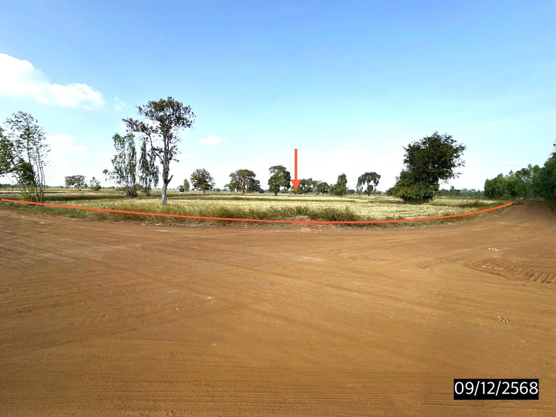 Empty land for sale in Pho Chai, Roi Et.