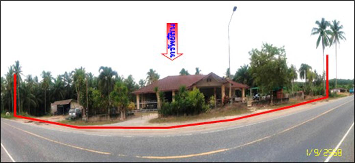 Single-Family House in Chaiya, Surat Thani