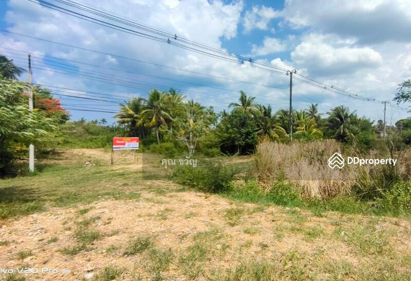 MBIGM0064 ที่ดินเปล่าแปลงใหญ่ กุยบุรี ประจวบคีรีขันธ์, Prachuap Khiri Khan
