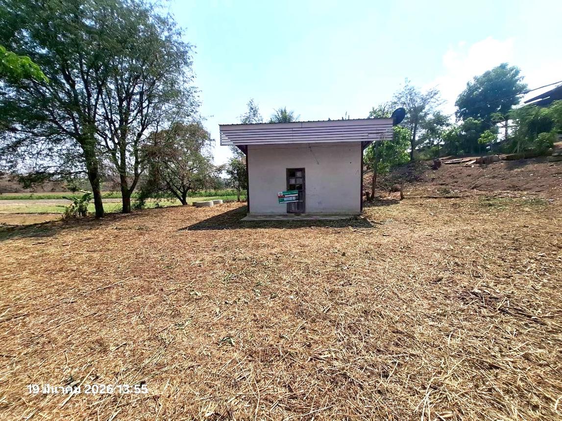 Single-Story House for Sale in Mae Ramat, Tak Province

This single-story house is located in a quiet and peaceful area of Mae Ramat, Tak Province. The house has a total living area of 120 square meters and is surrounded by a large garden with various types of trees and flowers.

The interior of the house is spacious and well-lit, with large windows that allow natural light to enter. The house has three bedrooms, two bathrooms, and a large living room with a kitchen area.

The house is built on a 400 square meter plot of land, with a private parking area and a large storage room. The