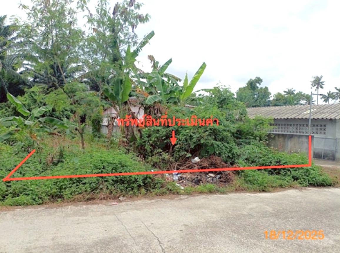 Empty Land for Sale in Sichol, Nakhon Si Thammarat