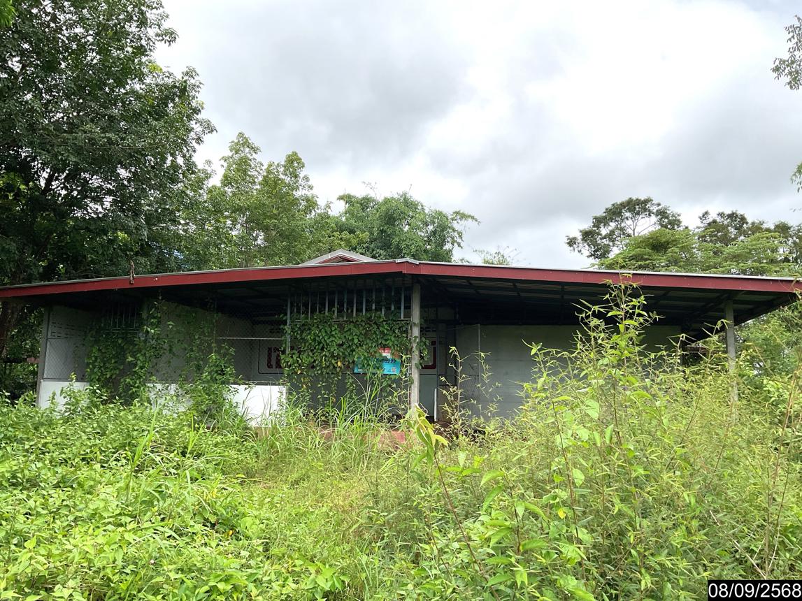 Single House at Segah, Bueng Kan Province