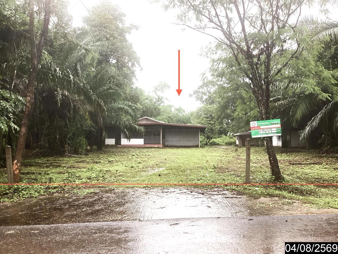 Single House at Segah, Bueng Kan Province