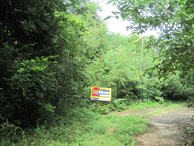 Empty land, Lanna Nakorn Country Park project, Lamphun