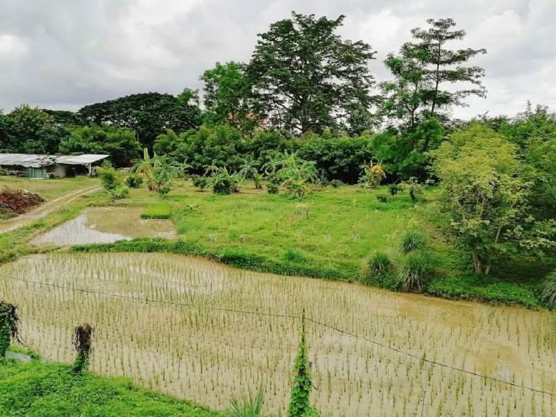 Land For Sale in Chang Phueak, Chiang Mai, Chiang Mai