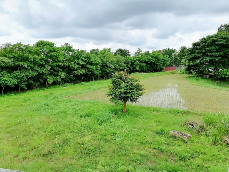 Land For Sale in Chang Phueak, Chiang Mai, Chiang Mai