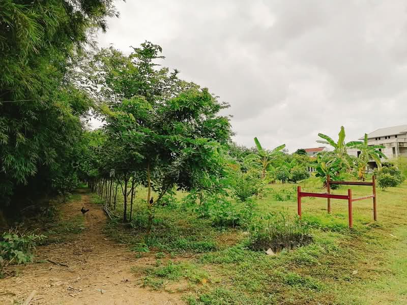 Land For Sale in Chang Phueak, Chiang Mai, Chiang Mai