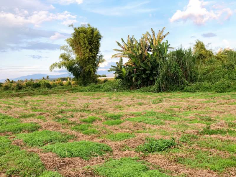 Land For Sale in Chang Phueak, Chiang Mai, Chiang Mai
