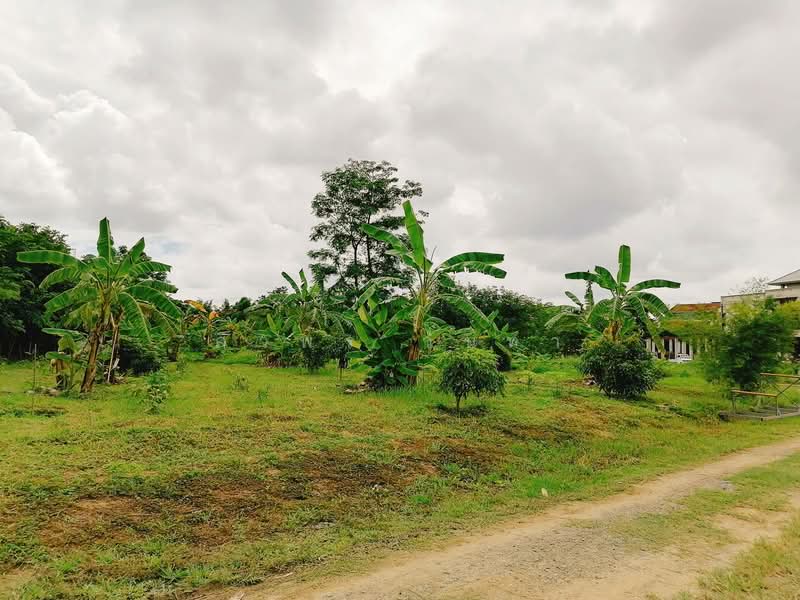 Land For Sale in Chang Phueak, Chiang Mai, Chiang Mai
