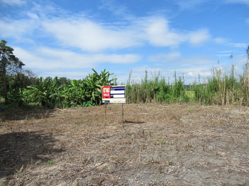 Land for sale at Leekwood Hill project, Chiang Mai.