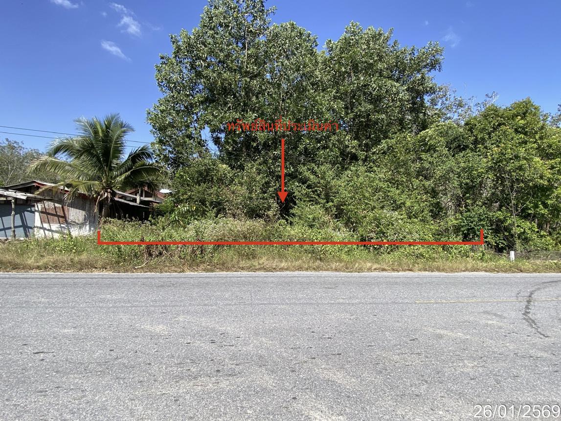 Empty Land for Sale in Thap Phan, Songkhla