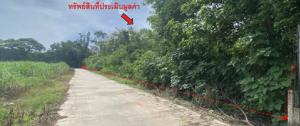 ที่ดินพร้อมสิ่งปลูกสร้าง พิชัย จังหวัดอุตรดิตถ์
