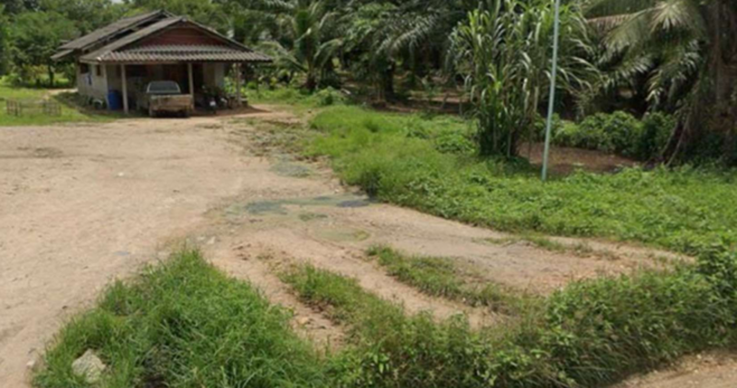 Single House, Kiri Ratanakom, Surat Thani