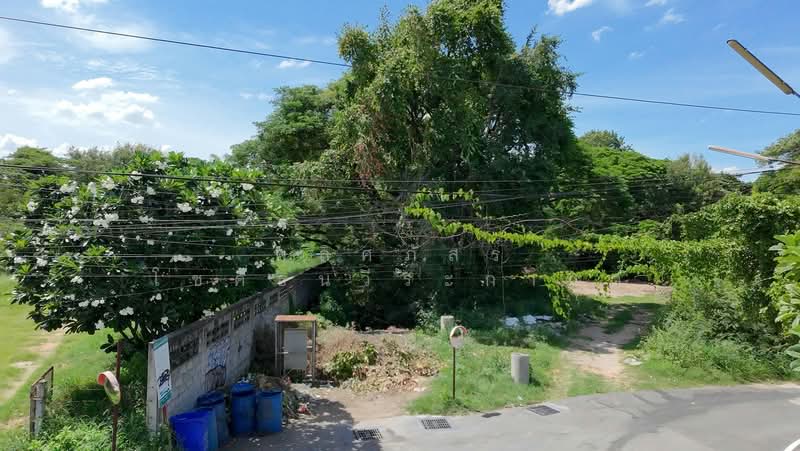 ขายที่ดินทำเลดี ราคาสุดคุ้ม ใกล้เมืองโคราช, Nakhon Ratchasima