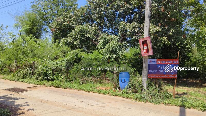 ขายที่ดิน 400 ตรว. ห่างจากถนนมิตรภาพ 900 เมตร ถ.แผ่นดินธรรม อ.สีคิ้ว, Nakhon Ratchasima