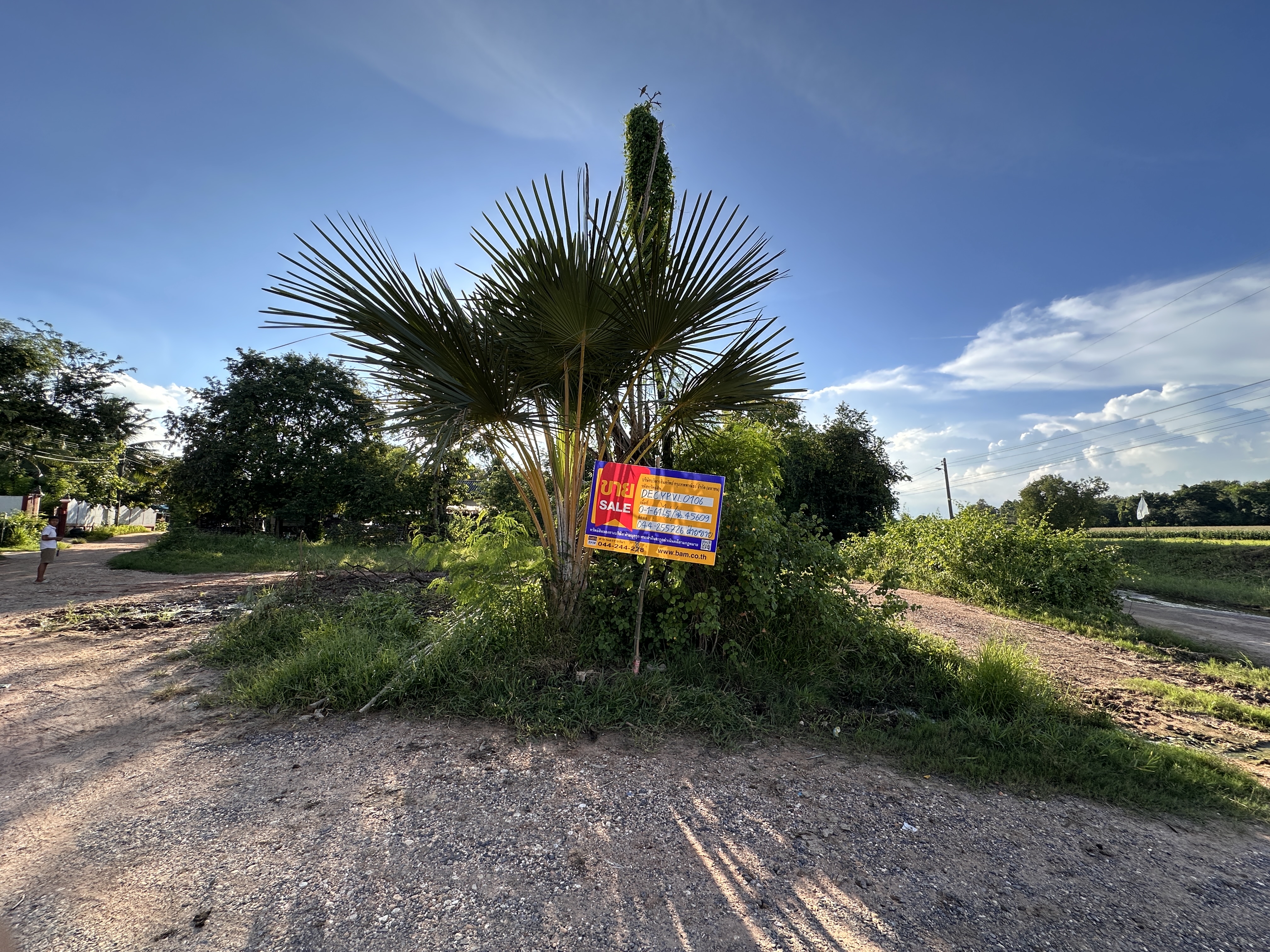 Raw land, Baan Kok, Square, Chaiyaphum